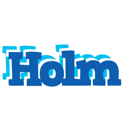 Holm business logo