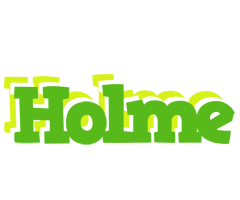 Holme picnic logo