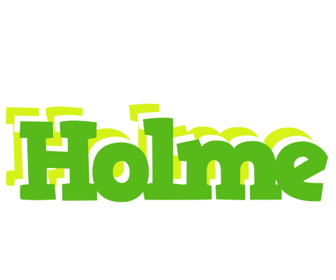 Holme picnic logo