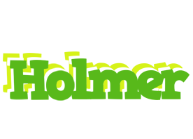 Holmer picnic logo