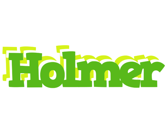 Holmer picnic logo