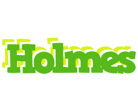 Holmes picnic logo