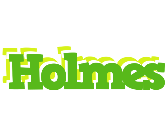 Holmes picnic logo