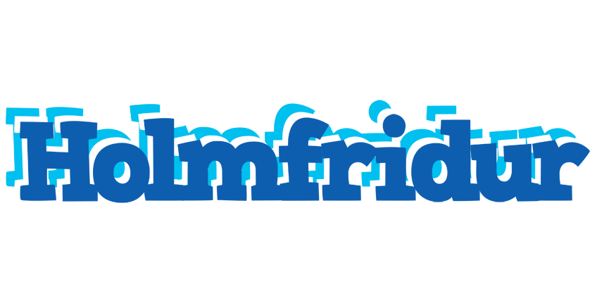 Holmfridur business logo