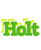 Holt picnic logo