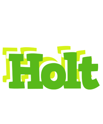 Holt picnic logo
