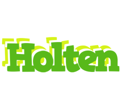 Holten picnic logo