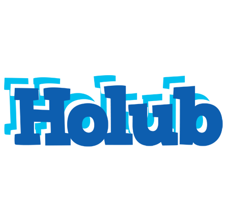 Holub business logo