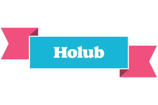 Holub today logo