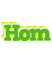 Hom picnic logo