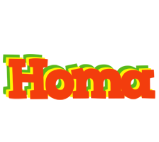 Homa bbq logo