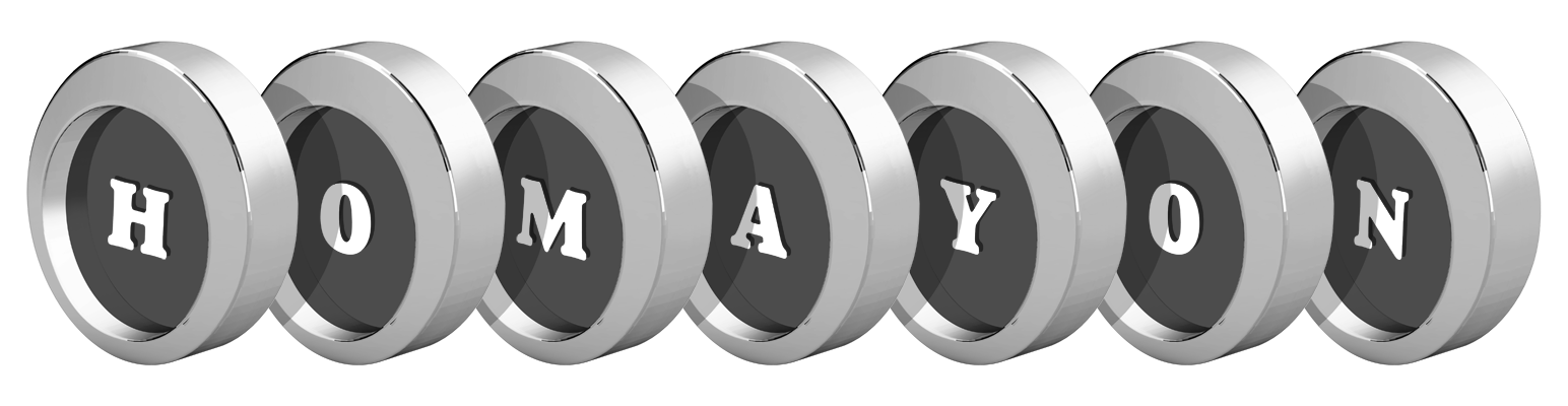 Homayon coins logo