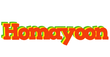 Homayoon bbq logo