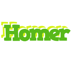 Homer picnic logo