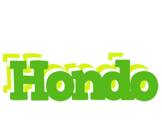 Hondo picnic logo