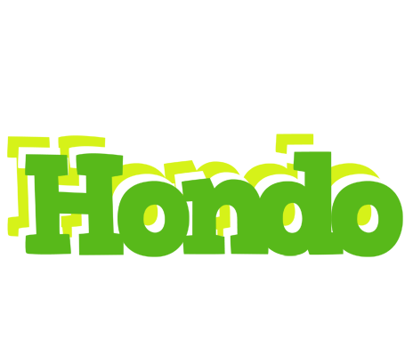 Hondo picnic logo