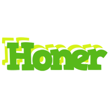 Honer picnic logo