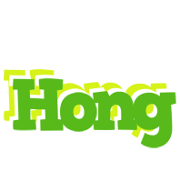 Hong picnic logo