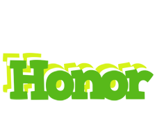 Honor picnic logo