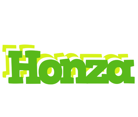 Honza picnic logo