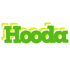 Hooda picnic logo