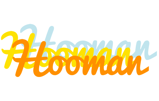 Hooman energy logo