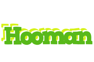 Hooman picnic logo