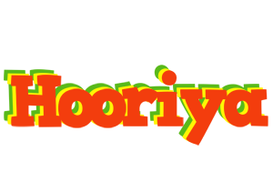 Hooriya bbq logo