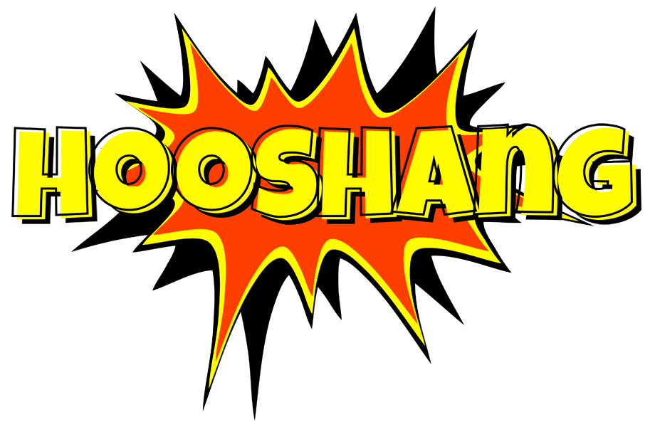 Hooshang bazinga logo