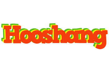 Hooshang bbq logo