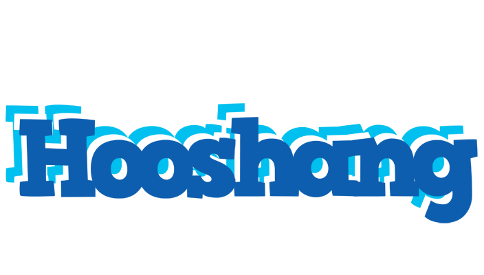 Hooshang business logo