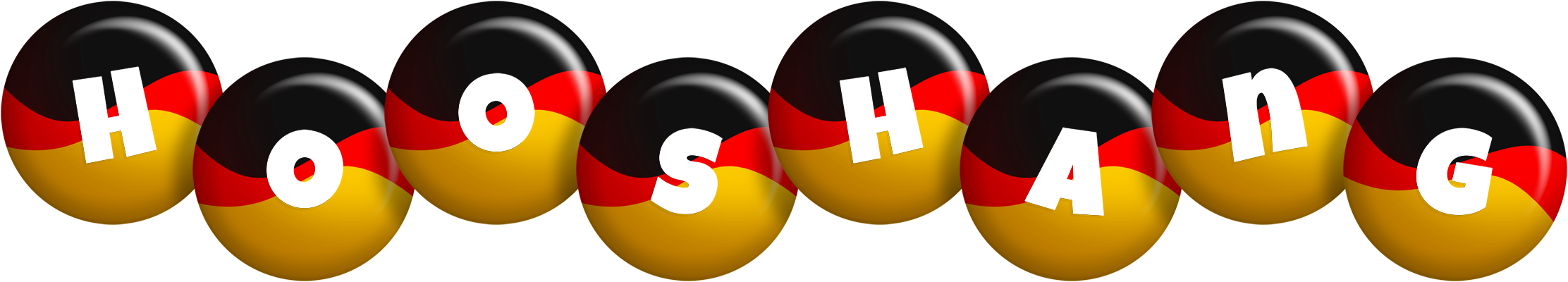 Hooshang german logo