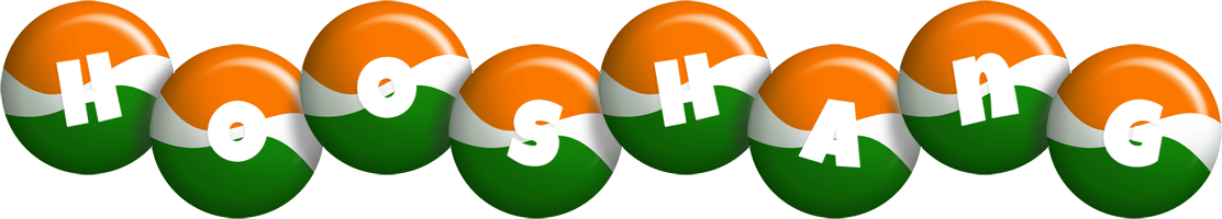 Hooshang india logo