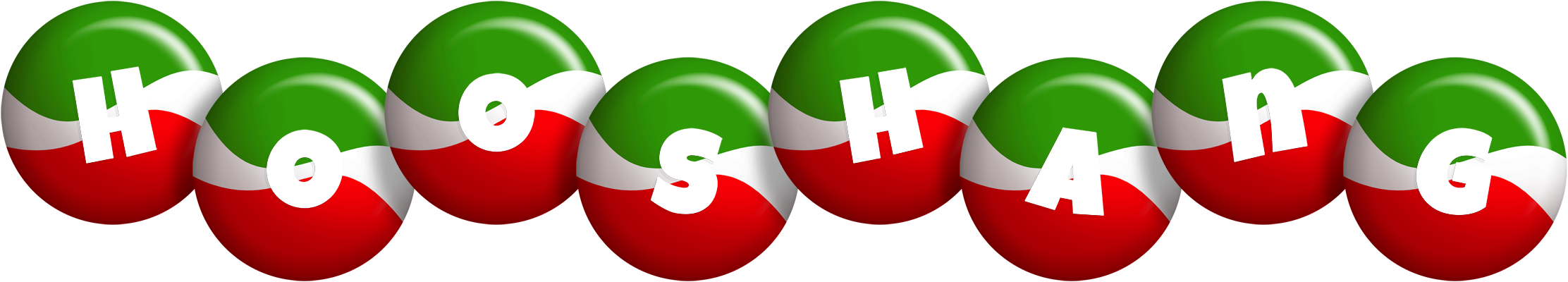 Hooshang italy logo