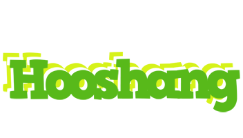 Hooshang picnic logo