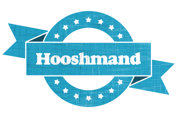 Hooshmand balance logo