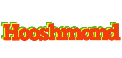 Hooshmand bbq logo