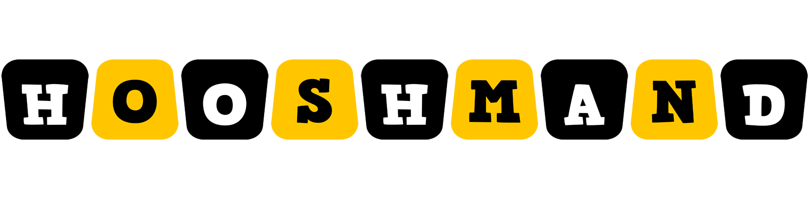 Hooshmand boots logo