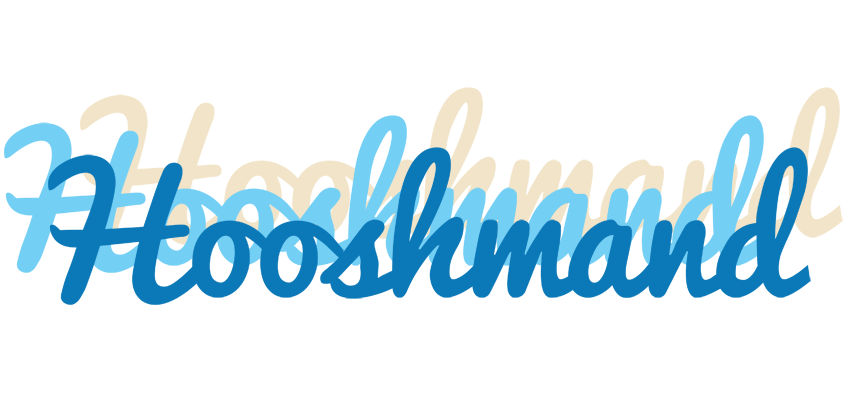 Hooshmand breeze logo