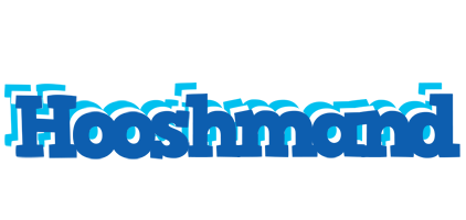 Hooshmand business logo