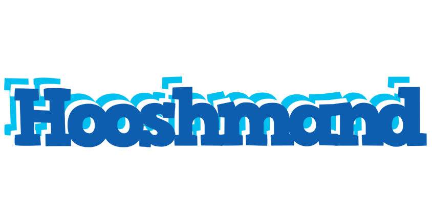 Hooshmand business logo