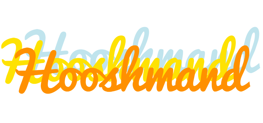 Hooshmand energy logo