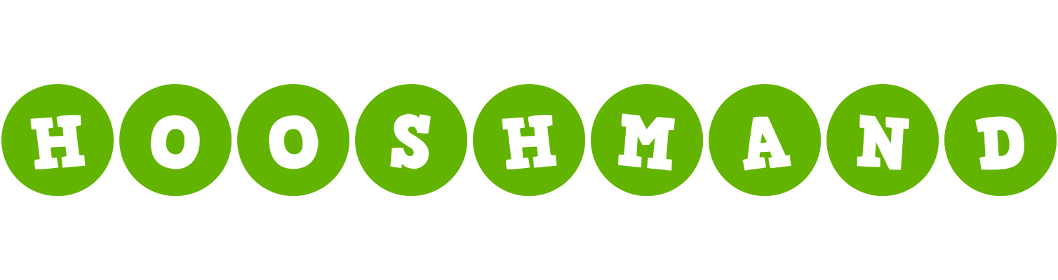 Hooshmand games logo