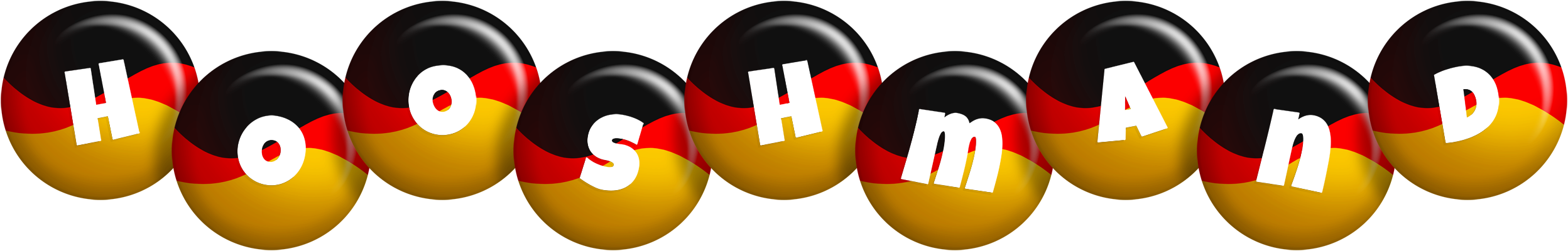 Hooshmand german logo