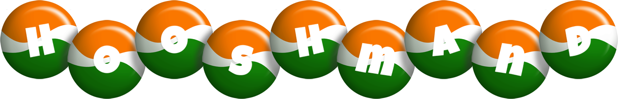 Hooshmand india logo