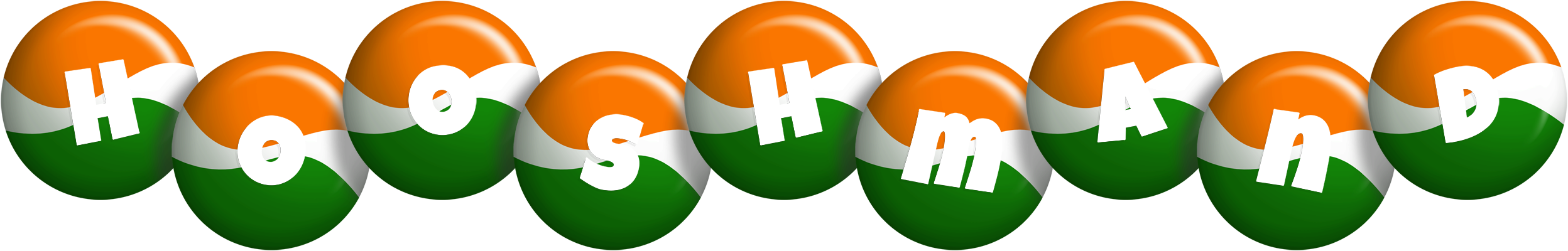 Hooshmand india logo