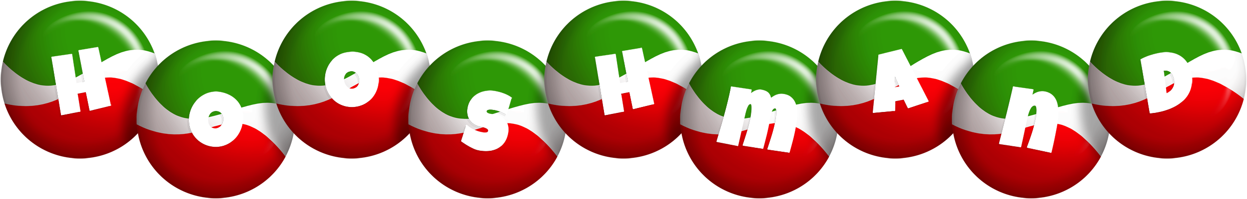 Hooshmand italy logo