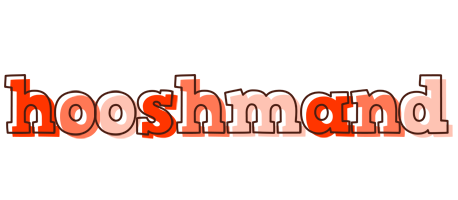 Hooshmand paint logo