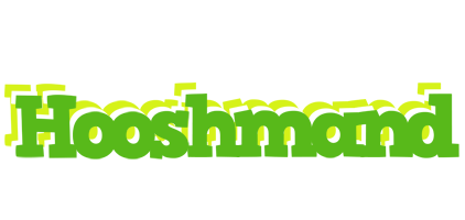 Hooshmand picnic logo