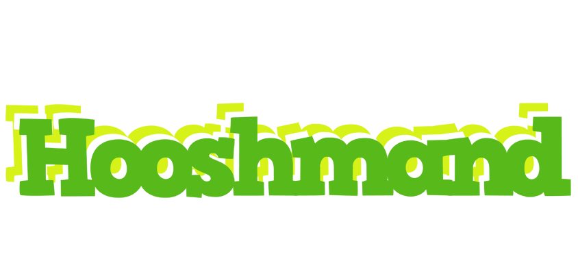 Hooshmand picnic logo